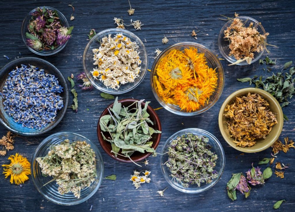 The Best Herbs for Money
