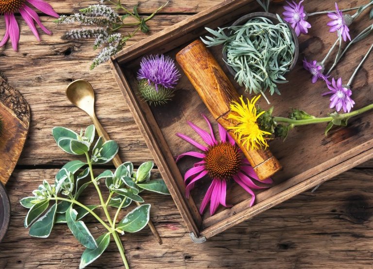 3 Unique Ways To Store Your Herbs For Witchcraft