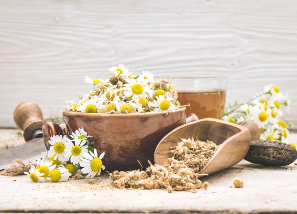 Witchcraft & Chamomile Flowers